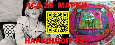 гидра Будённовск
