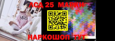 гидра Будённовск