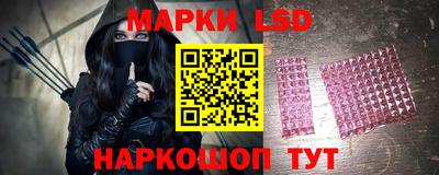гидра Будённовск