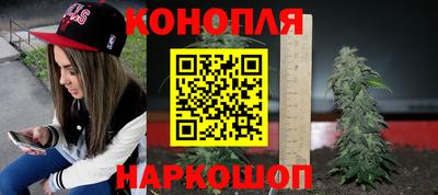 гидра Будённовск