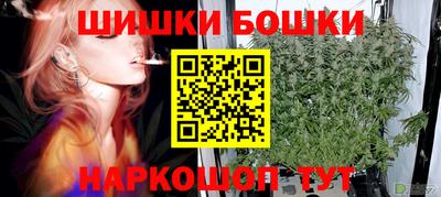 гидра Будённовск