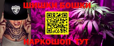 гидра Будённовск