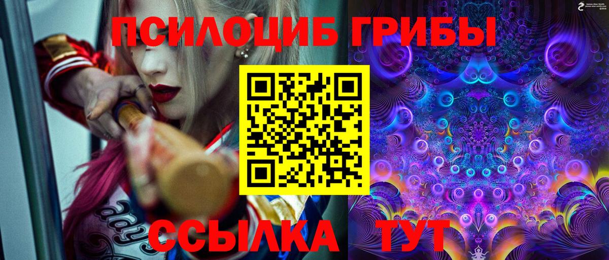 Галлюциногенные грибы ЛСД  Вход с VPN  Галлюциногенные грибы ЛСД  Мурино 